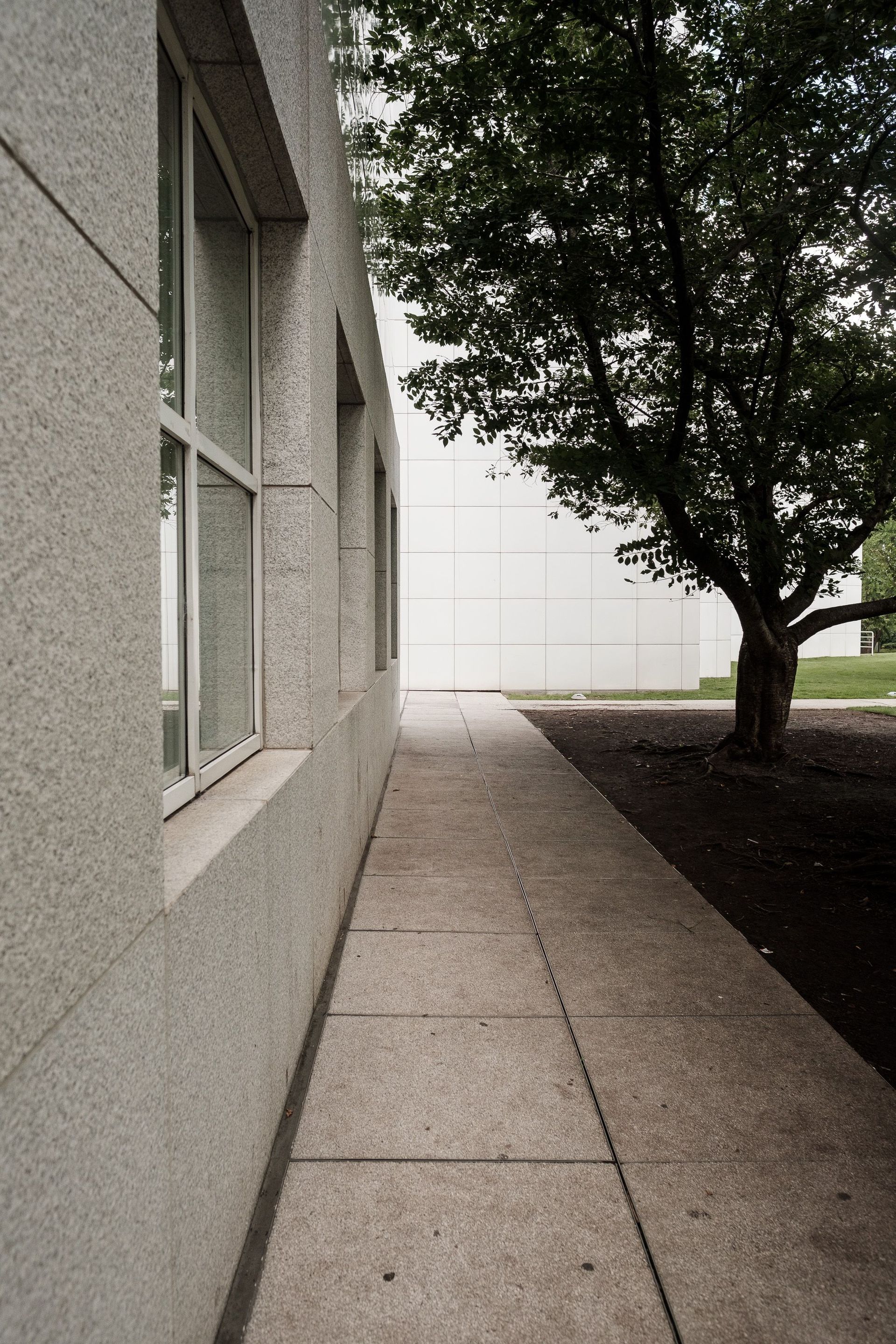 Sidewalk path by modern building with tree, showcasing urban architecture.